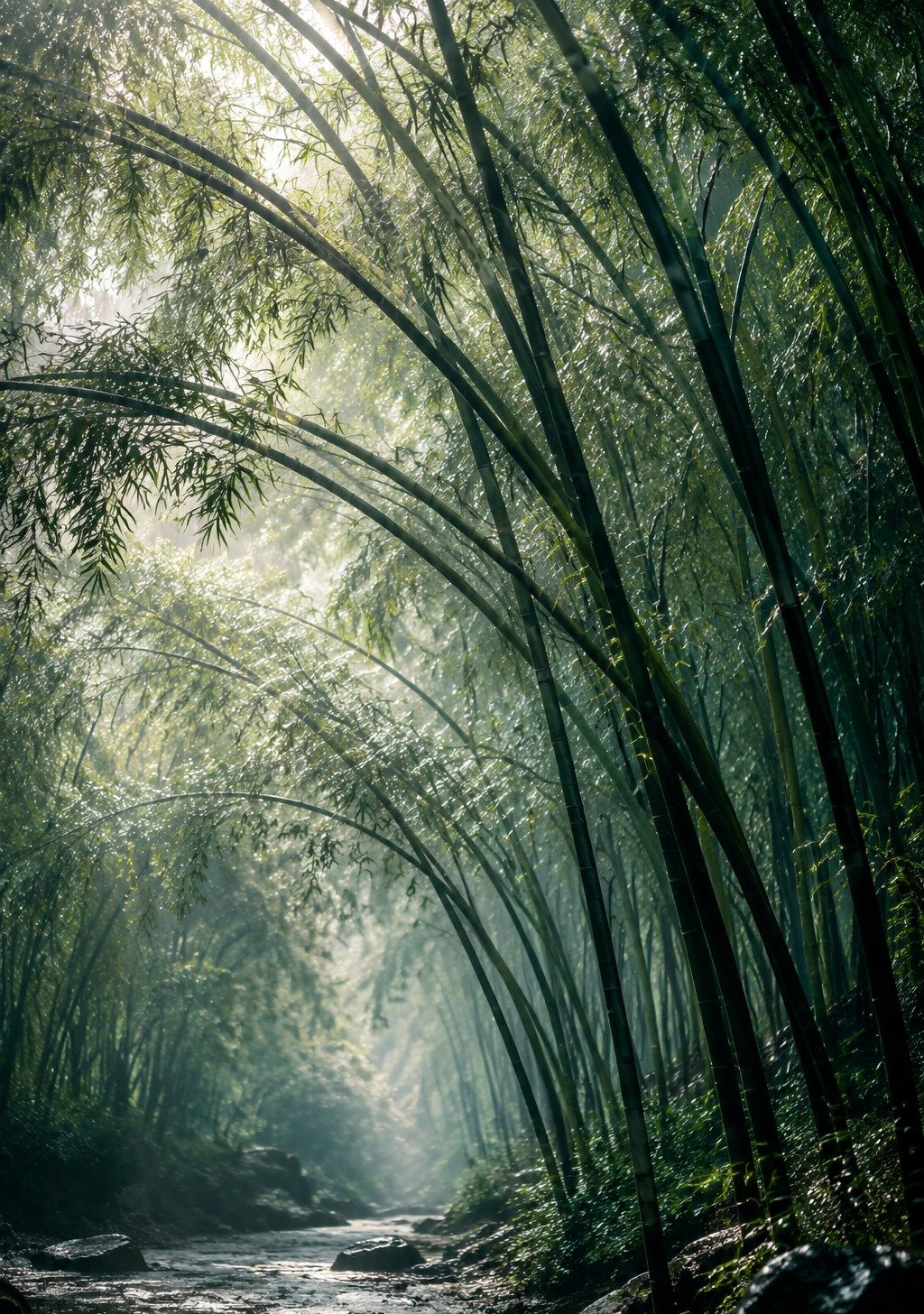 Bamboo Bent Heavily in Rain with Water Droplets and Returning Sunlight – Resilience Wallpaper