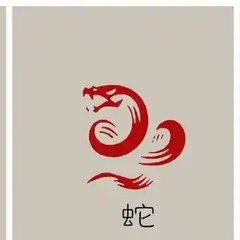 Snake zodiac icon
